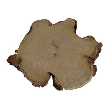 Plaster Akacji 31x29x3cm