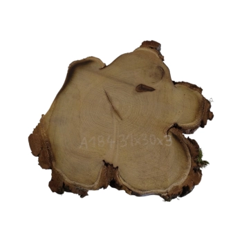 Plaster Akacji 31x30x3cm