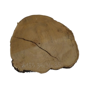 Plaster Akacji 34x31x3,5cm