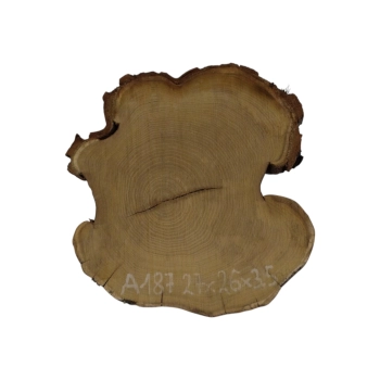 Plaster Akacji 27x26x3,5cm