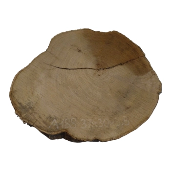Plaster Akacji 37x30x3,5cm
