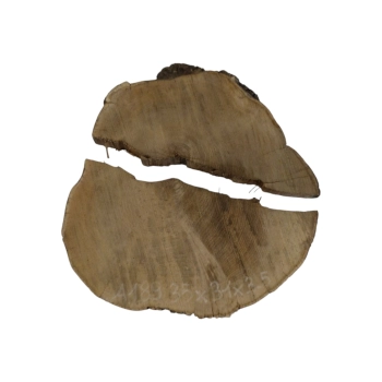 Plaster Akacji 35x31x3,5cm