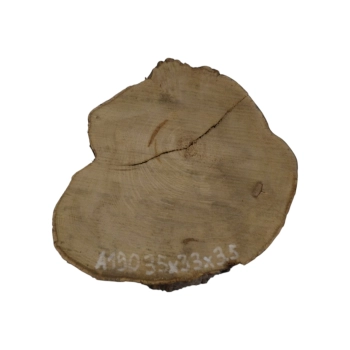 Plaster Akacji 35x33x3,5cm