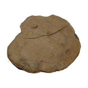 Plaster Akacji 35x30x3,5cm