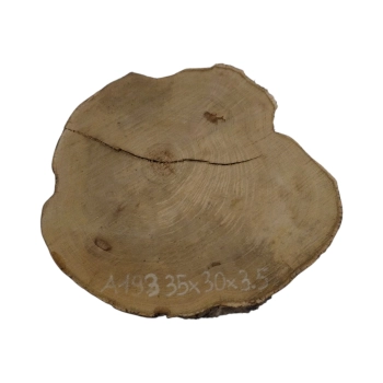 Plaster Akacji 35x30x3,5cm