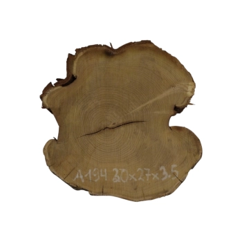 Plaster Akacji 30x27x3,5cm