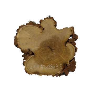 Plaster Akacji 33x33x3,5cm