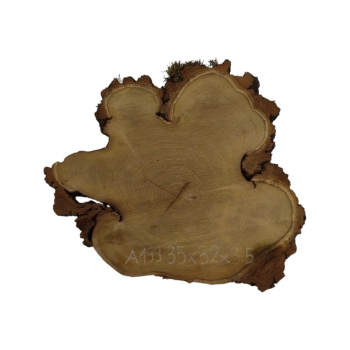 Plaster Akacji 35x32x3,5cm