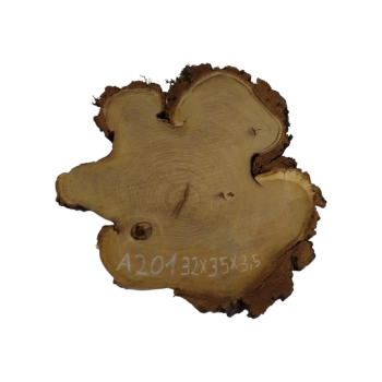 Plaster Akacji 32x35x3,5cm