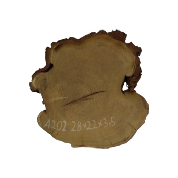 Plaster Akacji 28x22x3,5cm