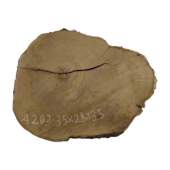 Plaster Akacji 35x29x3,5cm