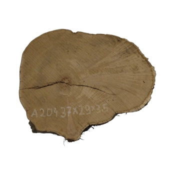 Plaster Akacji 37x29x3,5cm