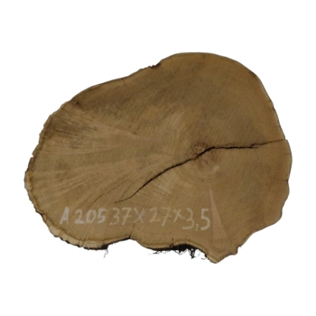 Plaster Akacji 37x27x3,5cm
