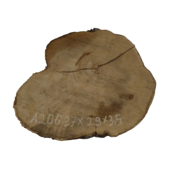 Plaster Akacji 37x29x3,5cm