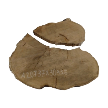 Plaster Akacji 37x30x3,5cm