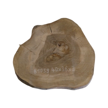 Plaster Orzecha Włoskiego 40x36x3cm