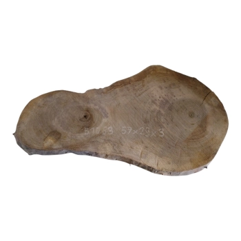 Plaster Orzecha Włoskiego 57x29x3cm