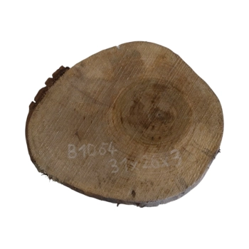 Plaster Orzecha Włoskiego 31x26x3cm