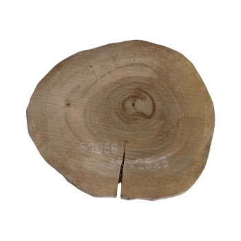 Plaster Orzecha Włoskiego 34x29x3cm