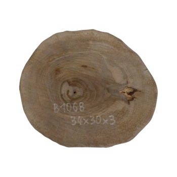 Plaster Orzecha Włoskiego 34x30x3cm