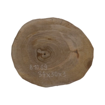 Plaster Orzecha Włoskiego 34x30x3cm
