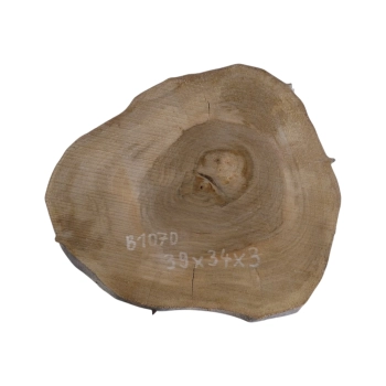Plaster Orzecha Włoskiego 39x34x3cm