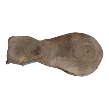 Plaster Orzecha Włoskiego 61x27x3cm