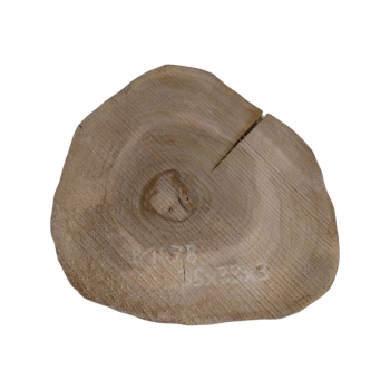 Plaster Orzecha Włoskiego 35x33x3cm