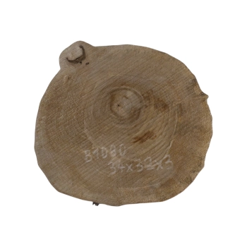 Plaster Orzecha Włoskiego 34x32x3cm