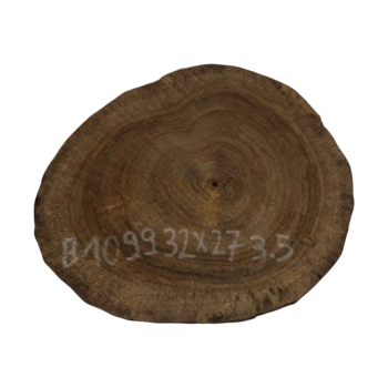 Plaster Orzecha Włoskiego 32x27x3,5cm