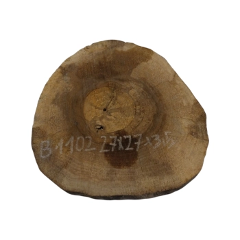 Plaster Orzecha Włoskiego 27x27x3,5cm