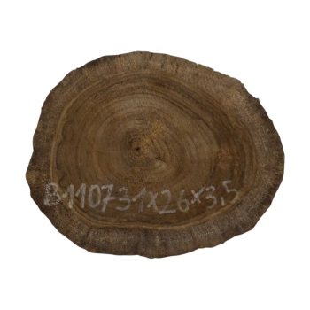 Plaster Orzecha Włoskiego 31x26x3,5cm