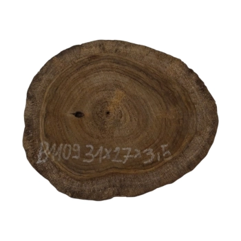 Plaster Orzecha Włoskiego 31x27x3,5cm