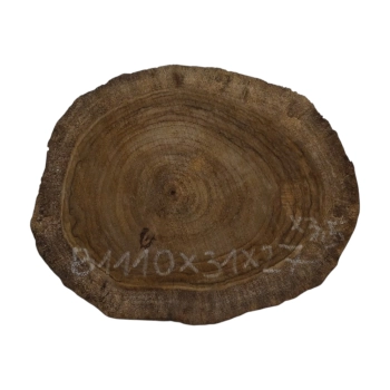 Plaster Orzecha Włoskiego 31x27x3,5cm