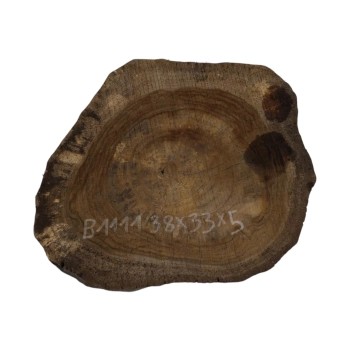Plaster Orzecha Włoskiego 38x33x5cm