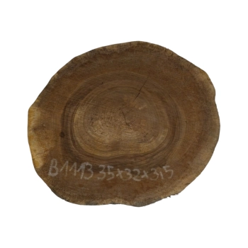 Plaster Orzecha Włoskiego 35x32x3,5cm