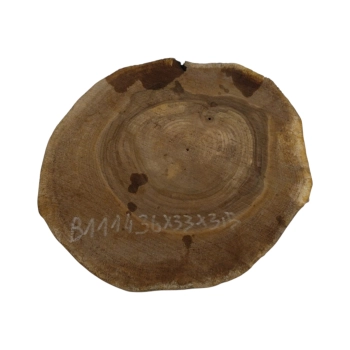 Plaster Orzecha Włoskiego 36x33x3,5cm