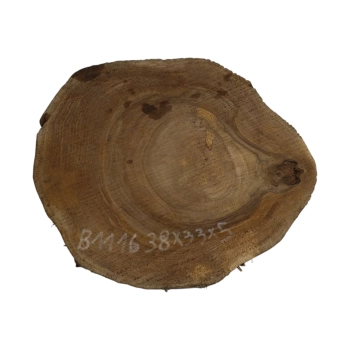 Plaster Orzecha Włoskiego 38x33x5cm