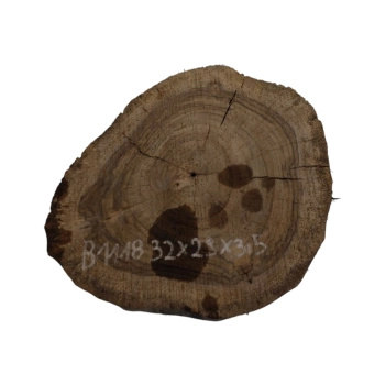 Plaster Orzecha Włoskiego 32x29x3,5cm