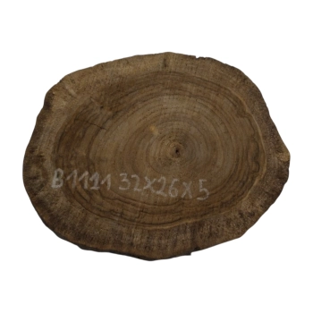 Plaster Orzecha Włoskiego 32x26x5cm