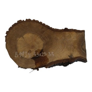 Plaster Orzecha Włoskiego 43x25x3,5cm