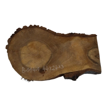Plaster Orzecha Włoskiego 44x24x3cm