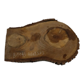 Plaster Orzecha Włoskiego 46x23x3cm