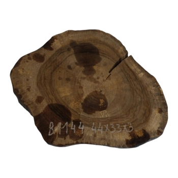Plaster Orzecha Włoskiego 44x33x3cm