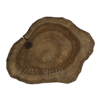 Plaster Orzecha Włoskiego 38x33x3cm