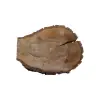 Plaster Orzecha Włoskiego 43x33x4cm