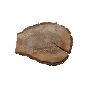 Plaster Orzecha Włoskiego 44x33x4cm