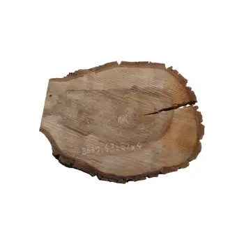 Plaster Orzecha Włoskiego 43x32x4cm