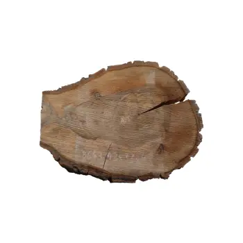 Plaster Orzecha Włoskiego 43x33x4cm