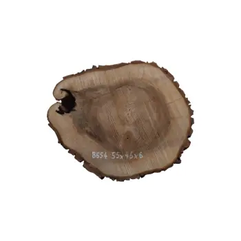 Plaster Orzecha Włoskiego 55x46x6cm